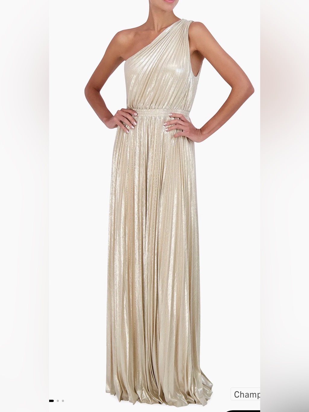 Bcbg Maxazria Metallic Gold Pleated Maxi Dress